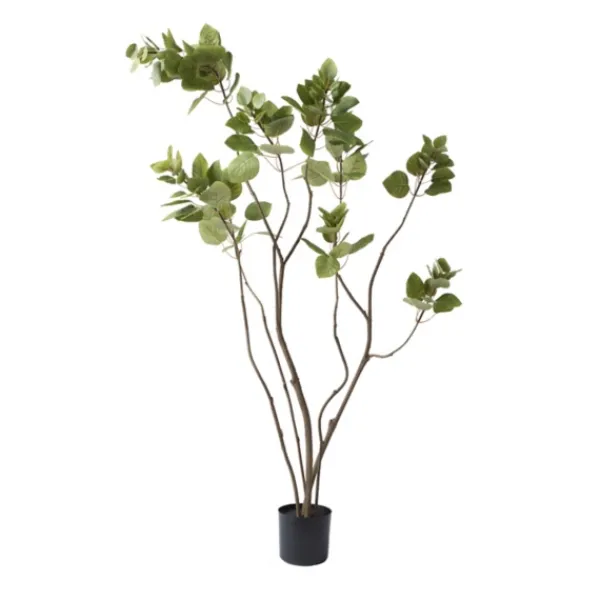 Trees & Topiaries-Kirkland's Home Green Potted Cotinus Coggygria Tree, 4 Ft.