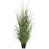 Trees & Topiaries-Kirkland's Home Green Ryegrass Potted Plant