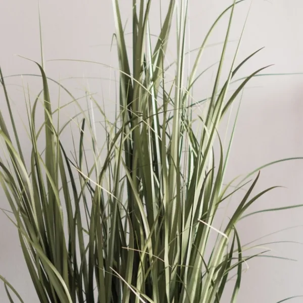 Trees & Topiaries-Kirkland's Home Green Ryegrass Potted Plant