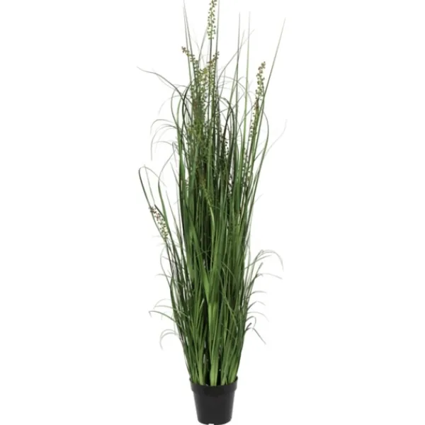 Trees & Topiaries-Kirkland's Home Green Sheep Grass Potted Plant