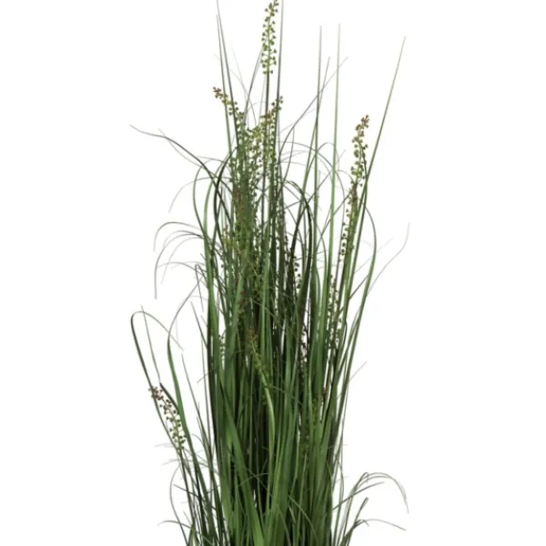 Trees & Topiaries-Kirkland's Home Green Sheep Grass Potted Plant