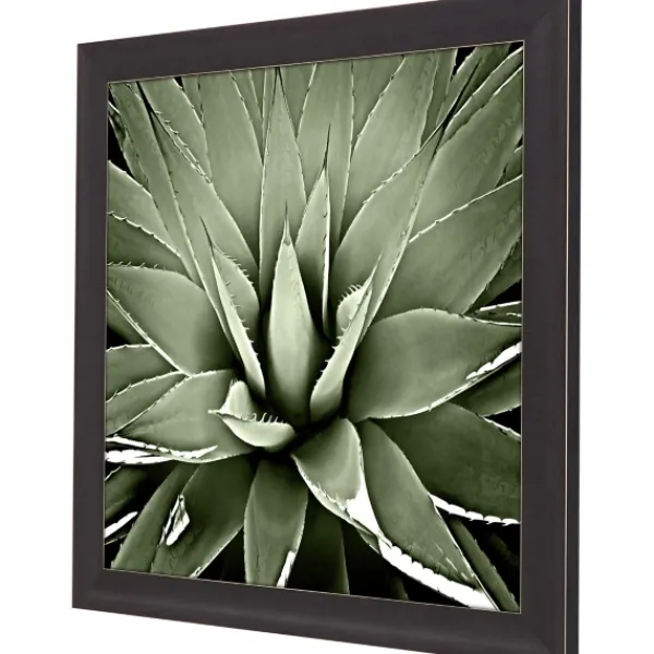 Framed Art-Kirkland's Home Green Succulent Iii Framed Canvas Art Green/White/Black