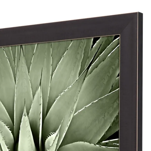 Framed Art-Kirkland's Home Green Succulent Iii Framed Canvas Art Green/White/Black