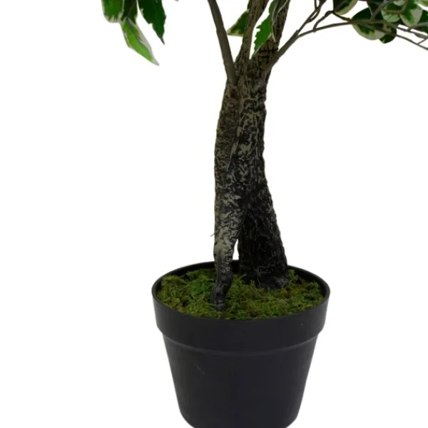 Trees & Topiaries-Kirkland's Home Green Variegated Leaf Ficus Tree