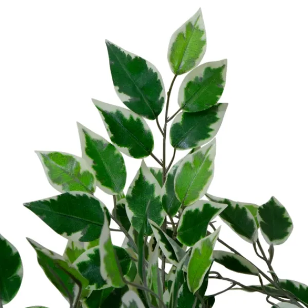 Trees & Topiaries-Kirkland's Home Green Variegated Leaf Ficus Tree