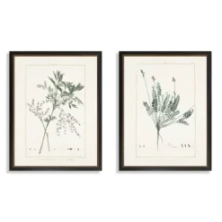 Framed Art-Kirkland's Home Greenery I Framed Art Prints, Set Of 2 Ivory