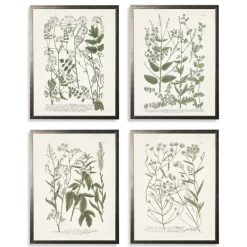 Framed Art-Kirkland's Home Greenery On Cream Back Framed Art Prints, Set Of 4 Green/Ivory