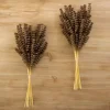 Stems & Bouquets-Kirkland's Home Heather Wheat Bundles, Set Of 2 Brown
