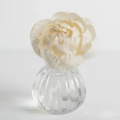 Home Fragrance-Kirkland's Home Hello Gorgeous Flower Petal Diffuser Set