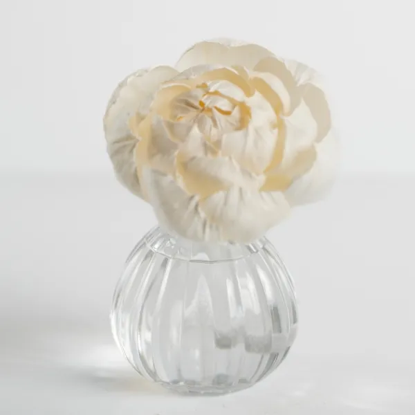 Home Fragrance-Kirkland's Home Hello Gorgeous Flower Petal Diffuser Set