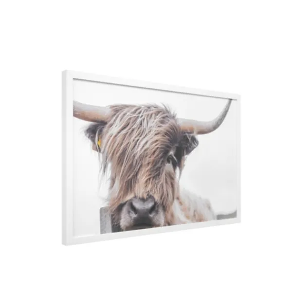 Framed Art-Kirkland's Home Highland Cow Framed Art Print Brown/White