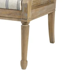 Accent Chairs-Kirkland's Home Isla Martha Stewart Accent Chair Ivory/Blue