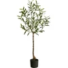 Trees & Topiaries-Kirkland's Home Italian Olive Tree In Black Nursery Planter, 4 Ft.