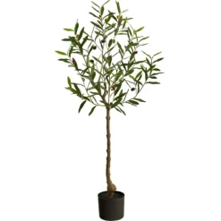 Trees & Topiaries-Kirkland's Home Italian Olive Tree In Black Nursery Planter, 4 Ft.
