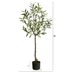 Trees & Topiaries-Kirkland's Home Italian Olive Tree In Black Nursery Planter, 4 Ft.