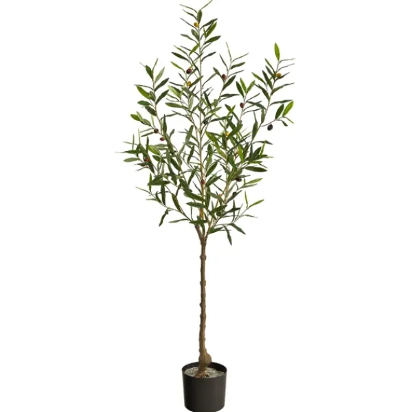 Trees & Topiaries-Kirkland's Home Italian Olive Tree In Black Nursery Planter, 5 Ft.