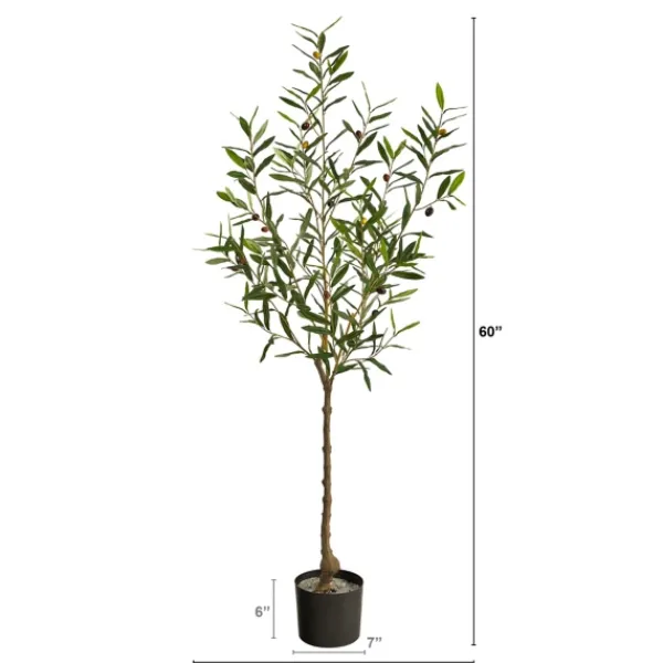 Trees & Topiaries-Kirkland's Home Italian Olive Tree In Black Nursery Planter, 5 Ft.