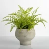 Arrangements & Greenery-Kirkland's Home Lace Fern Plant In Face Planter Green/Gray
