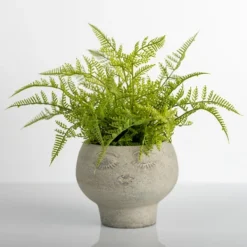 Arrangements & Greenery-Kirkland's Home Lace Fern Plant In Face Planter Green/Gray