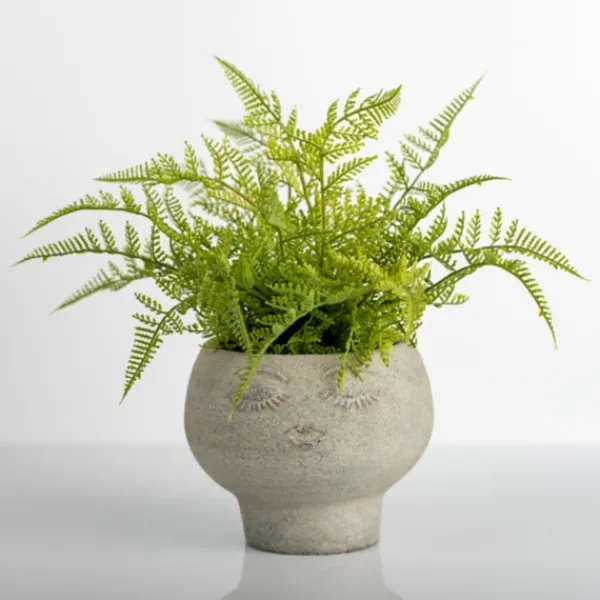 Arrangements & Greenery-Kirkland's Home Lace Fern Plant In Face Planter Green/Gray