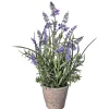 Arrangements & Greenery-Kirkland's Home Lavender Plant In Speckled Cement Planter Purple/Green