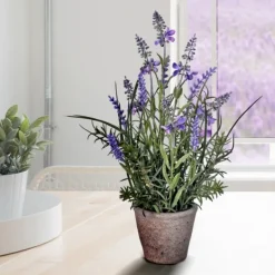 Arrangements & Greenery-Kirkland's Home Lavender Plant In Speckled Cement Planter Purple/Green