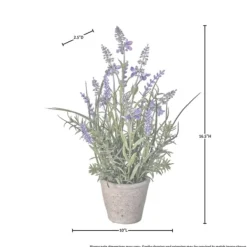 Arrangements & Greenery-Kirkland's Home Lavender Plant In Speckled Cement Planter Purple/Green