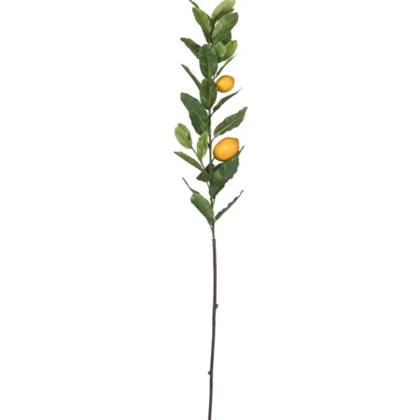 Stems & Bouquets-Kirkland's Home Lemon Tree Branch Stem Spray, 48 In. Green/Yellow