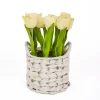Arrangements & Greenery-Kirkland's Home Light Tulip Arrangement In Basket Yellow