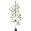 Trees & Topiaries-Kirkland's Home Lucky Olive Tree In Nursery Planter, 54 In.
