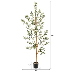 Trees & Topiaries-Kirkland's Home Lucky Olive Tree In Nursery Planter, 54 In.