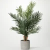 Trees & Topiaries-Kirkland's Home Majestic Palm Tree In Gray Planter