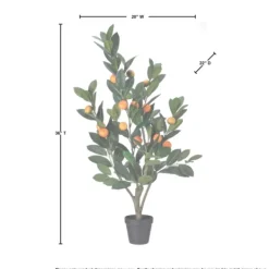 Trees & Topiaries-Kirkland's Home Mandarin Orange Tree In Black Planter