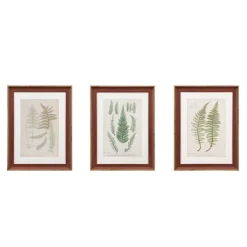 Framed Art-Kirkland's Home Martha Stewart Lady Fern Framed Art Print Set Green/White