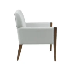Accent Chairs-Kirkland's Home Martha Stewart Wood Trim Accent Chair Ivory