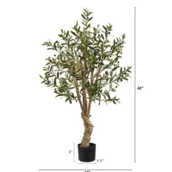 Trees & Topiaries-Kirkland's Home Mediterranean Olive Tree In Nursery Planter