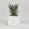 Arrangements & Greenery-Kirkland's Home Mini Aloe Plant In White Marble Ceramic Cube Green