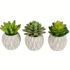 Arrangements & Greenery-Kirkland's Home Mini Succulents In Ceramic Pots, Set Of 3 Green