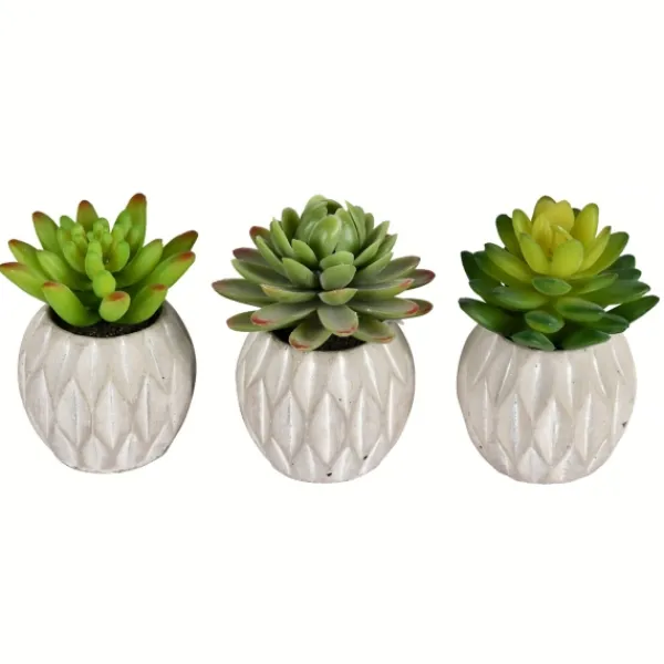 Arrangements & Greenery-Kirkland's Home Mini Succulents In Ceramic Pots, Set Of 3 Green