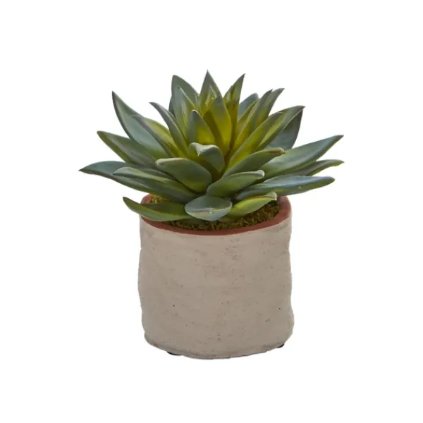 Arrangements & Greenery-Kirkland's Home Mixed Succulent Arrangements, Set Of 4 Green
