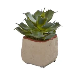 Arrangements & Greenery-Kirkland's Home Mixed Succulent Arrangements, Set Of 4 Green