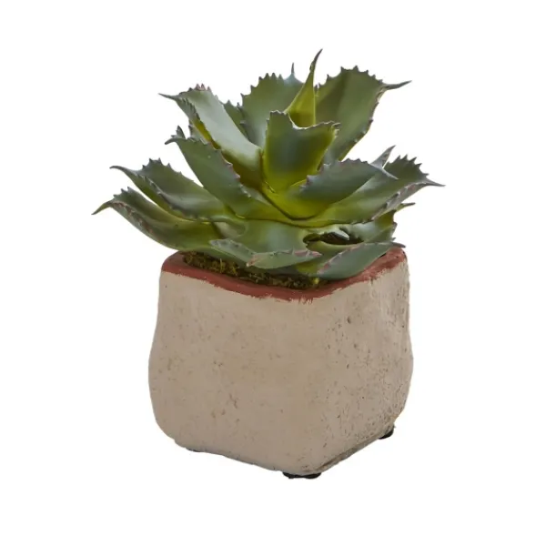 Arrangements & Greenery-Kirkland's Home Mixed Succulent Arrangements, Set Of 4 Green