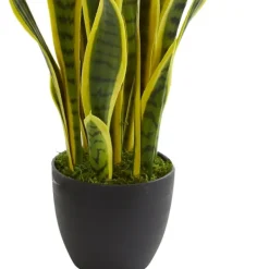 Arrangements & Greenery-Kirkland's Home Modern Potted Laurentii Snake Plant Green/Black