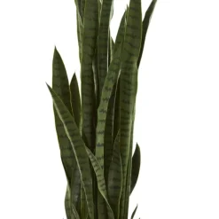 Arrangements & Greenery-Kirkland's Home Modern Potted Tri Snake Plant Green/Black