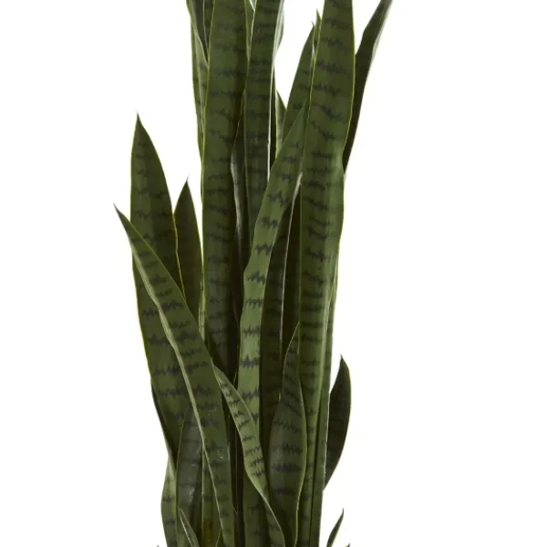 Arrangements & Greenery-Kirkland's Home Modern Potted Tri Snake Plant Green/Black