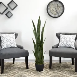Arrangements & Greenery-Kirkland's Home Modern Potted Tri Snake Plant Green/Black