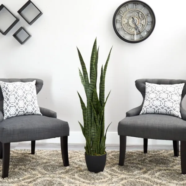Arrangements & Greenery-Kirkland's Home Modern Potted Tri Snake Plant Green/Black