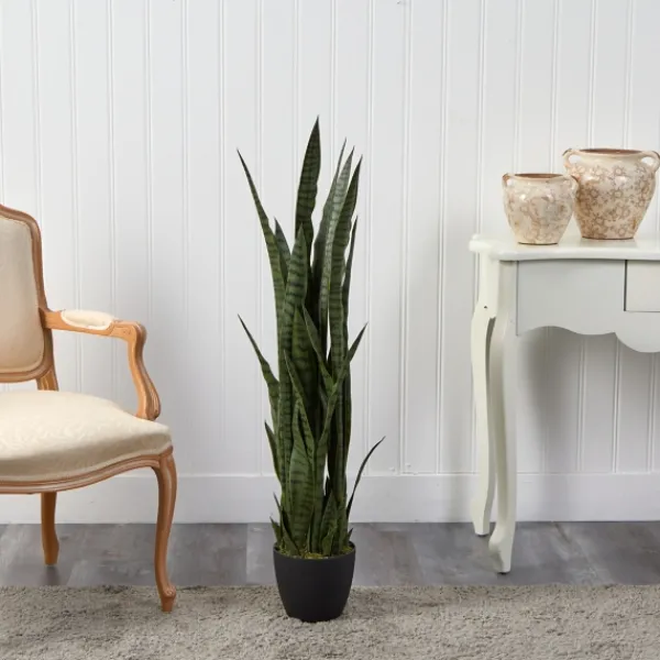 Arrangements & Greenery-Kirkland's Home Modern Potted Tri Snake Plant Green/Black
