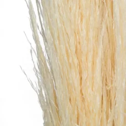 Stems & Bouquets-Kirkland's Home Natural Bleached Pampas Grass Stems, Set Of 6 Ivory
