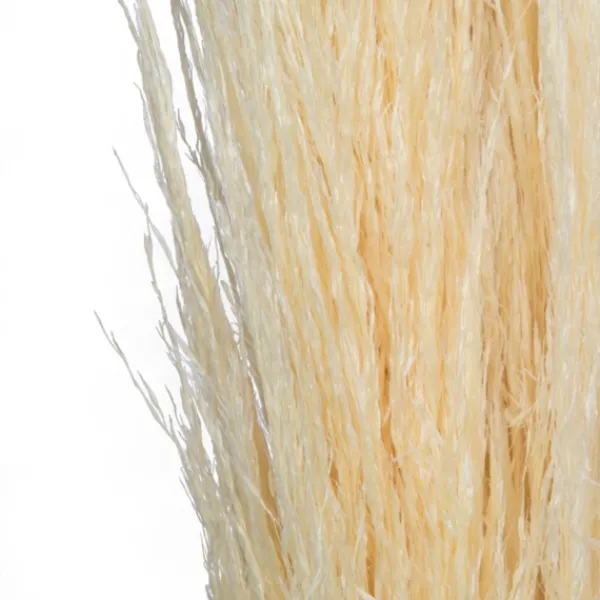 Stems & Bouquets-Kirkland's Home Natural Bleached Pampas Grass Stems, Set Of 6 Ivory